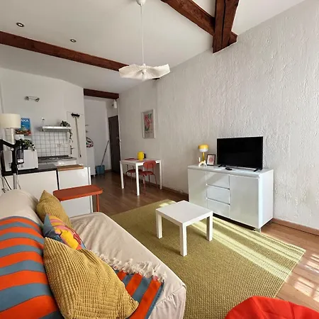 Centre De Zone Castillet Avec Wifi 公寓