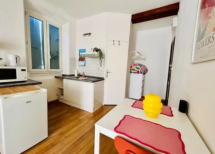 Centre De Zone Castillet Avec Wifi 公寓 佩皮尼昂