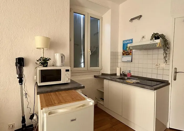 公寓 Centre De Zone Castillet Avec Wifi 佩皮尼昂