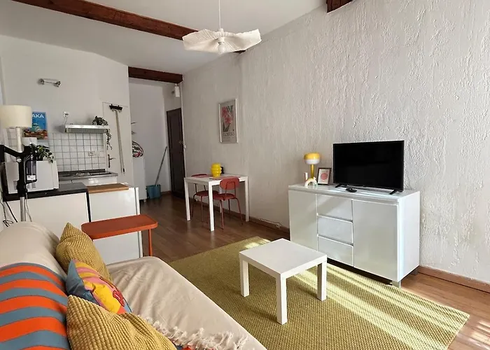 Centre De Zone Castillet Avec Wifi 公寓